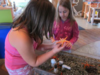 two girls look at a starfish