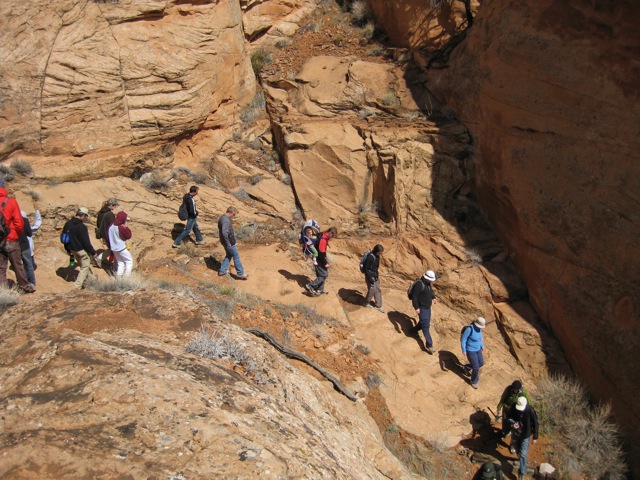hikers walk down trail